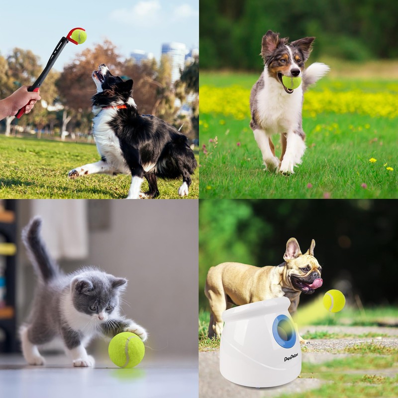 Pet Prime Dog Tennis Ball Toy 6 Pcak 2.5 Inch