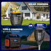 All in 1 Solar Bug Zapper Outdoor, Flame & Projection