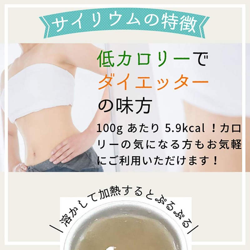 nichie サイリウムハスク オオバコ 粉末 食物繊維 250g