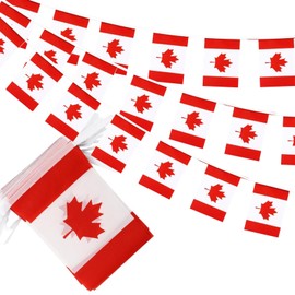 GSYLPFT Canadian Flags Canada String Flag Banners for Patriotic Events Independence Day Sports Bars Inside Outside Decorations 33 Feet 30 Flags