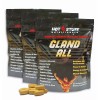 Hot Stuff Nutritionals- Gland All: 3 PACK- Raw Glandular Complex