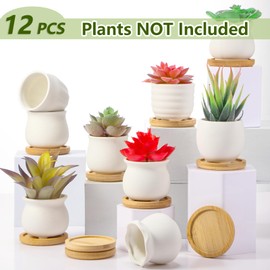 Remerry 12 Pcs 2.5 Inch Mini Succulent Pots with Bamboo Tray White Ceramic Pots Color Your Own DIY Small Planters Containers for Flower Cactus with Drainage Hole for Plant Lover