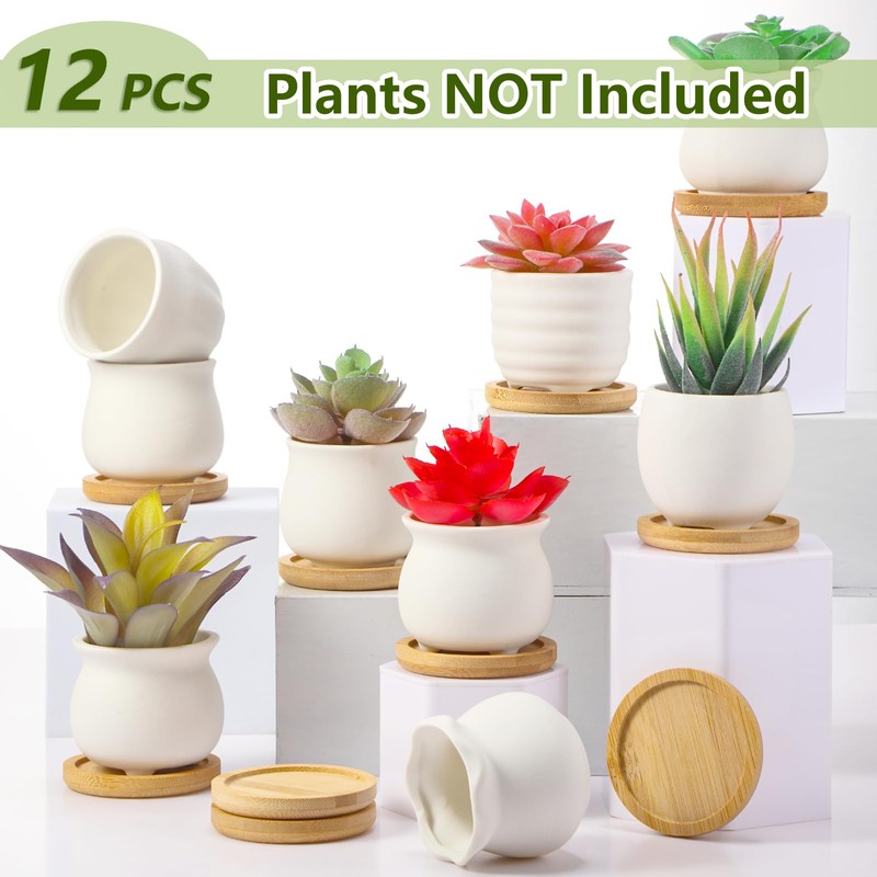 Remerry 12 Pcs 2.5 Inch Mini Succulent Pots with Bamboo