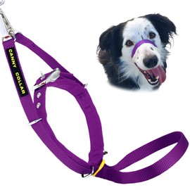 Canny Collar No Pull Dog Head Collar, Lead Training Head Harness, Dog Collar that stops pulling - Easy to fit, simple to use, kind, safe, comfortable
