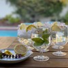 Lily's Home Set of 8 Unbreakable Poolside 12 oz Acrylic