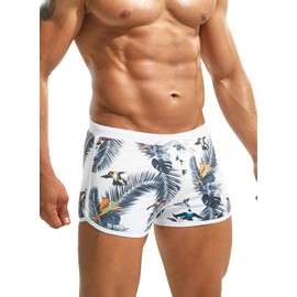 MIZOK Mens Quick Dry Square Leg Swim Shorts Boxer Brief Beach Swimsuit Trunk Bird 2XL