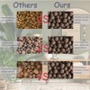 Natural Organic Clay Pebbles, 2LBS 8mm-18mm Expanded Leca Balls Plant