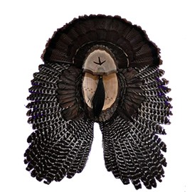 Turkey Fan Plaque/Turkey Mounting Kit/Turkey Hunting Turkey Fan and Beard Mount/Turkey Fan Mount And Display Kit/One Of A Kind Turkey Fan Mount Turkey Fan And Wing Mount