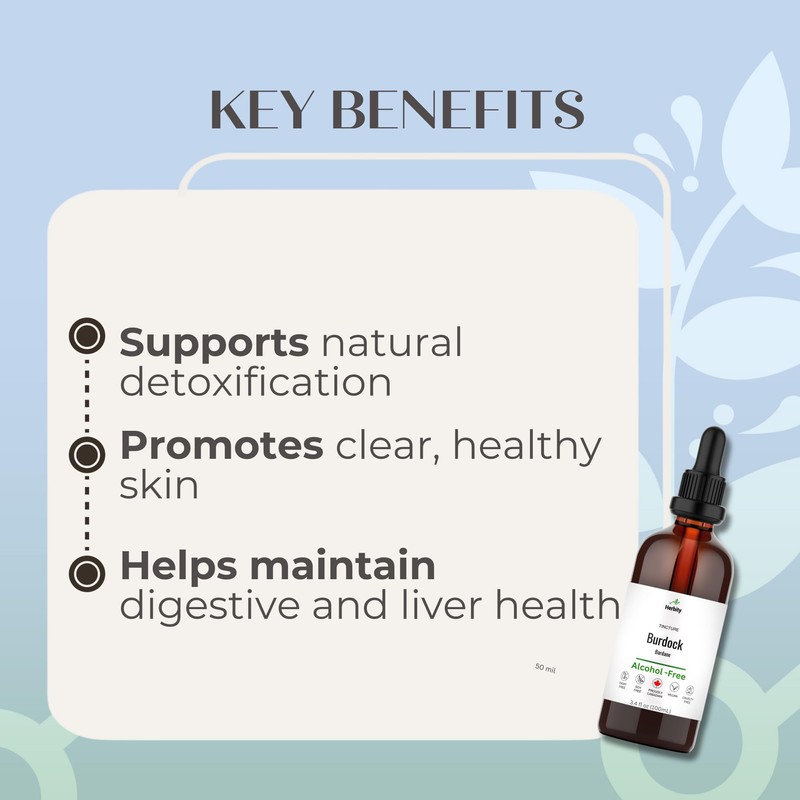 Herbity Herbity Burdock Root Tincture C Alcohol-Free Herbal Extract for