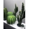 IKEA 2 Sets Ikea Fejka Miniature Artificial Cactus Plants x