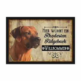 PR Print Royal Doormat Pets with Dog Picture Rhodesian Ridgeback - Gift Idea for Dog Lovers and Dog Owners - Size 60 x 40 cm