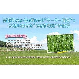 (1 Piece Limit Per Order) Woolly Morning Pasture on the Plateau "Italian Rice Glass" Young 2023 15.9 oz (450 g)