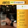 PLENIUS & WINNER | M+G | Creatina Monohidratada | Creapure|