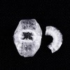 Pack of 100 Disposable Ear Muffs Transparent Ear Covers Clear