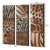 Touch of Class Exotic Patterns Canvas Art Set of Three