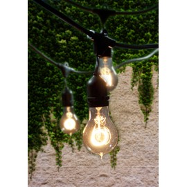 Bulbrite String15/E26-A19KT Nostalgic Edison Outdoor, Garden, Patio, Wedding, Party, Holiday, Lawn, and Landscape String Light with Vintage Edison Bulbs, 48-Feet, 15 Lights, Black