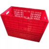 RITE FARM PRODUCTS EGG TRAY CARTON TRANSPORT CRATE CHICKEN SHIPPING
