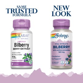 SOLARAY SOLARAY Bilberry Extract 160 mg, Eye Health & Circulation Support, 36% Anthocyanosides Plus Blueberry, Vegan, 30 VegCaps