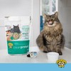 Dr. Elsey's cleanprotein Tuna Recipe Wet Cat Food (Case of