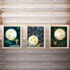 Goodnight Sweet Moon & Stars- 3 Image Set- 8 x