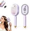 Electric Spray Air Cushion Massage Comb, Rechargeable Steam Brush for