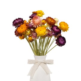 CoolCrafts 40 Pcs Dried Straw Flowers Daisy Bouquet Natural Dry Flowers Stems for Decor, Crafts, Floral Arrangements (Mixed Colors)