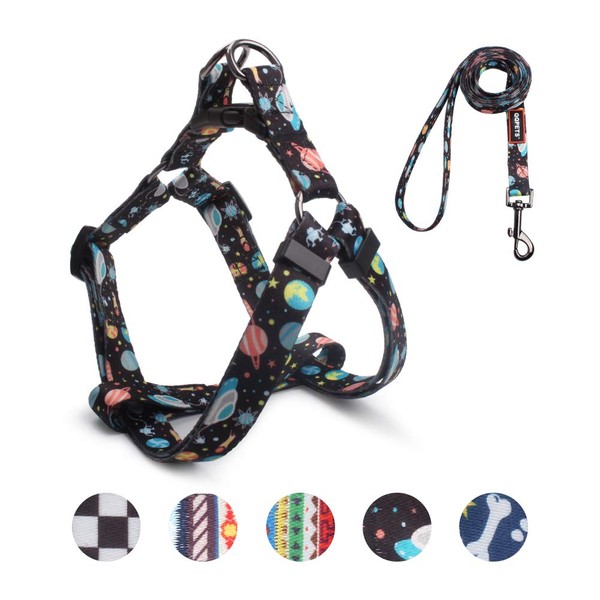 QQPETS Dog Harness Leash Set Adjustable Heavy Duty No Pull