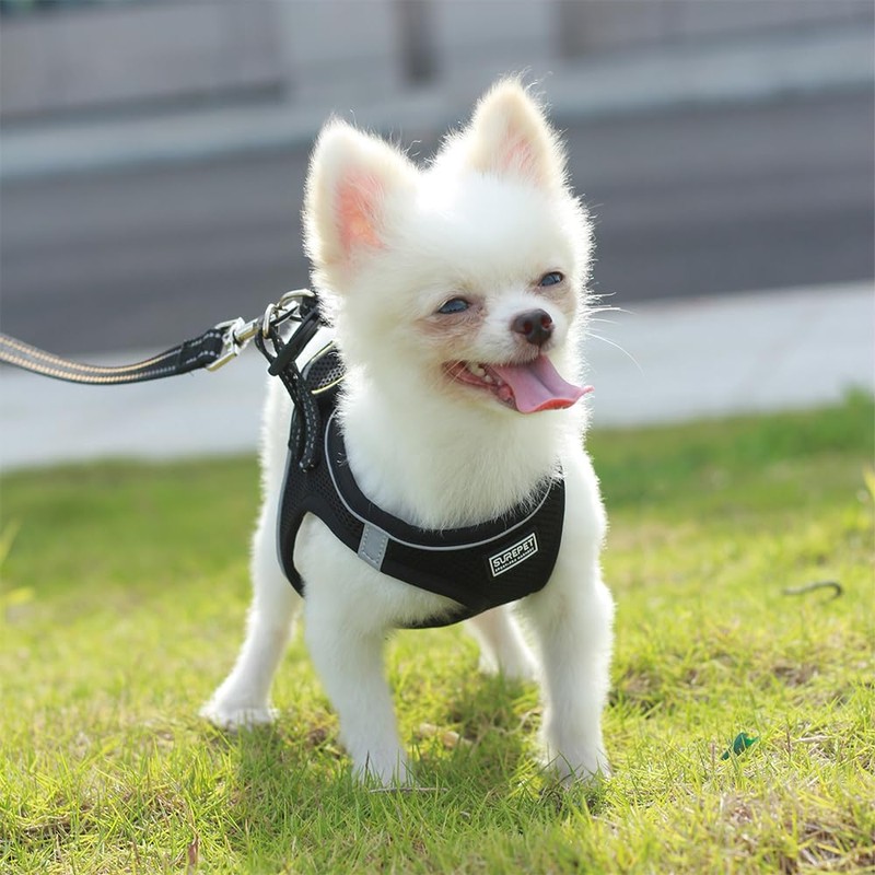 Cat Harness with Leash Set Mesh No Pull Reflective Escape