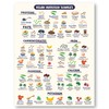 Vegan Health Foods Chart Fridge Magnet | Nutritional Guide for