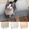 Carpet Protector for Pets, Transparent Non-slip Doorway Plastic Guard Carpet,