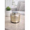 Tony Moly Snail PDRN Recovery Cream 50ml 1ea / 토니모리 스네일 피디알엔 리커버리 크림 50ml 1개