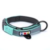 Pawtitas Adjustable Padded Dog Collar a Reflective Puppy Collar -
