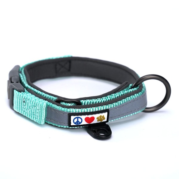 Pawtitas Adjustable Padded Dog Collar a Reflective Puppy Collar -