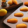 CHEFMADE Madeleine Shape Shell Shape Thin 6 Count Non-Stick