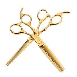 Baluue Professional 6-Inch Stainless Steel Hairdressing Scissors Set 2 Pcs Hair Trimming and Thinning Scissors for Salon and Home Use