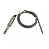 Green Mountain Grills GMG Meat Temperature Probe Daniel Boone, Jim