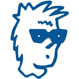 Evolution MX VINTAGE MOTOCROSS JT Racing Helmet Head Decal AHRMA CR KX YZ RM