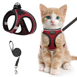 Cat Harness and Leash for Walking Escape Proof, Adjustable Kitten Vest Harness Reflective Soft Mesh Puppy Harness for Outdoor, Comfort Fit, Easy to Control (Red, XXS)