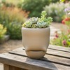 GioXtra Funny Toilet Tray Flower Pot - 1Pcs Creative Mocha