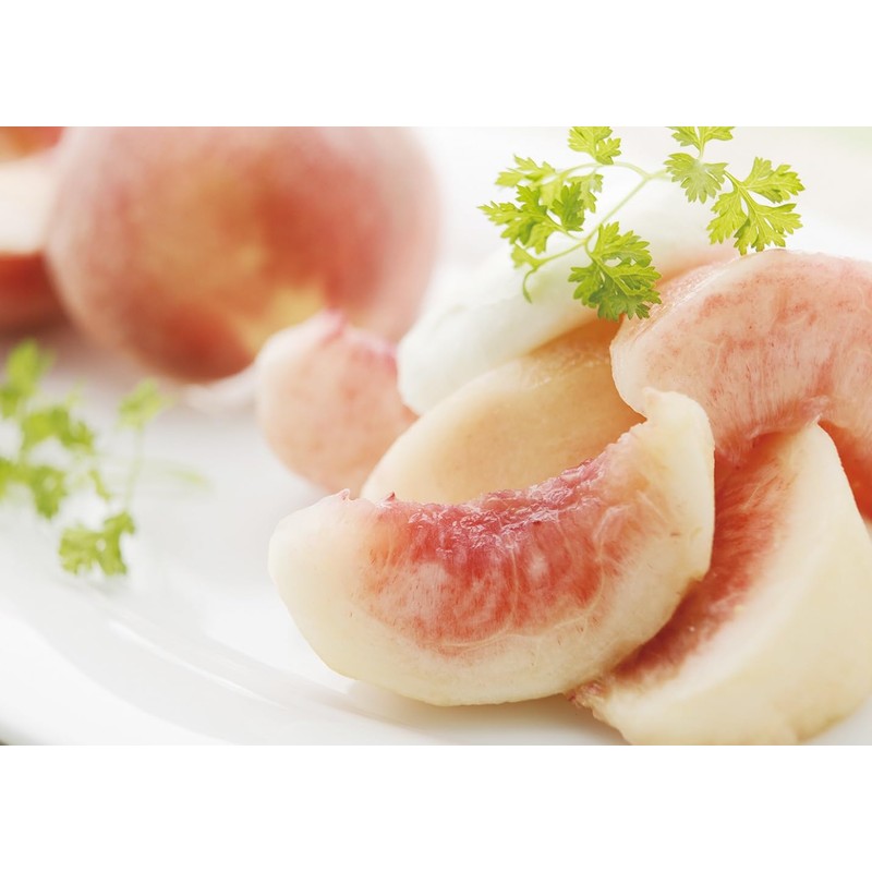 Kanematsu Seicha Cold Brew Tea Bag Set Pack (Lemon Sencha