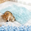 Tivray Q-MAX>0.4 Cooling Dog Blanket 30"×40", L, Blue
