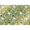 Jillson & Roberts Printed Unfolded Gift Tissue 20" x 30"