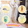 Cat Toys for Indoor Cats Set 5 pcs, Attractive Cat