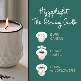 The Growing Candle, from Flame to Flower, Rosemary & Sage Scented, Non-Toxic, 100% Soy Wax, Indoor Wildflower Garden, Aromatherapy Gift for Women, 9oz, 45-50 Hr Burn Time, Astrid
