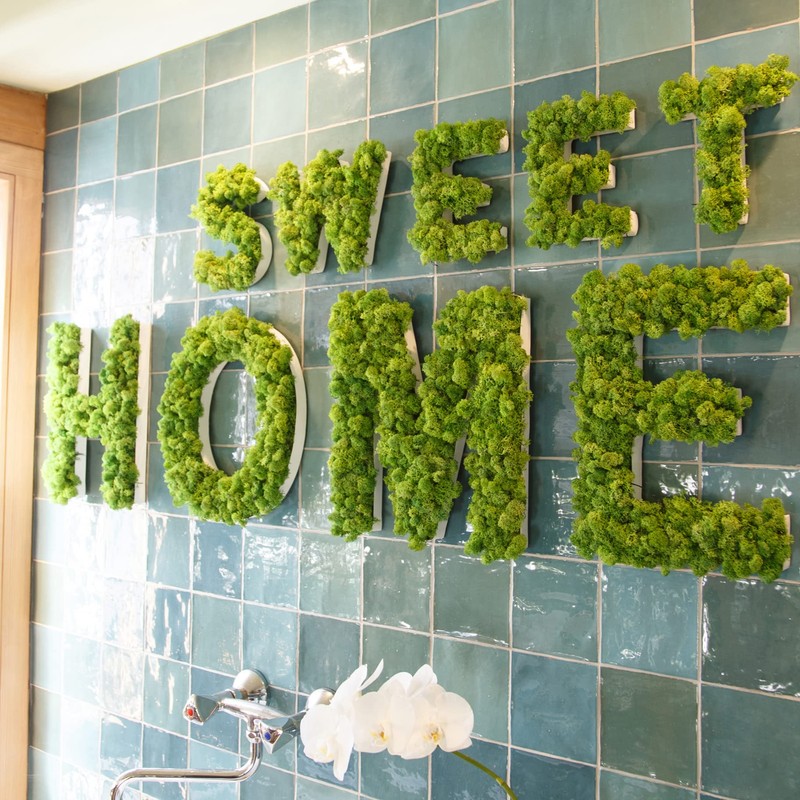 Moss Letter Iceland Moss ABC Letters with Moss (A, 30