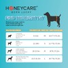 HONEY CARE All Absorb Petrichor Male Dog Wrap, Medium, White,