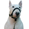 Dog Head Collar Halter Black (L 10.25inch12.25inch Snout)
