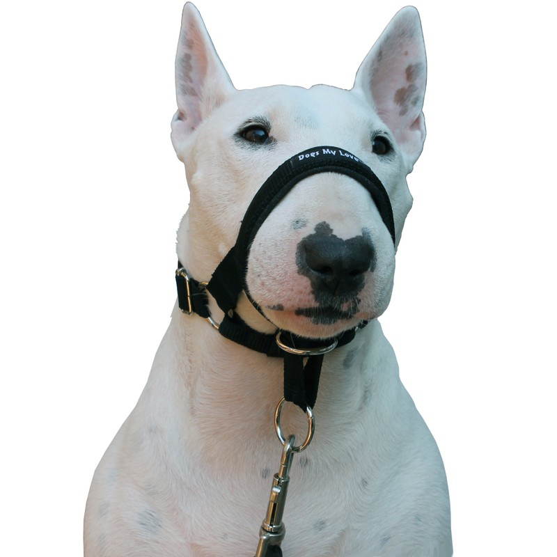 Dog Head Collar Halter Black (L 10.25inch12.25inch Snout)