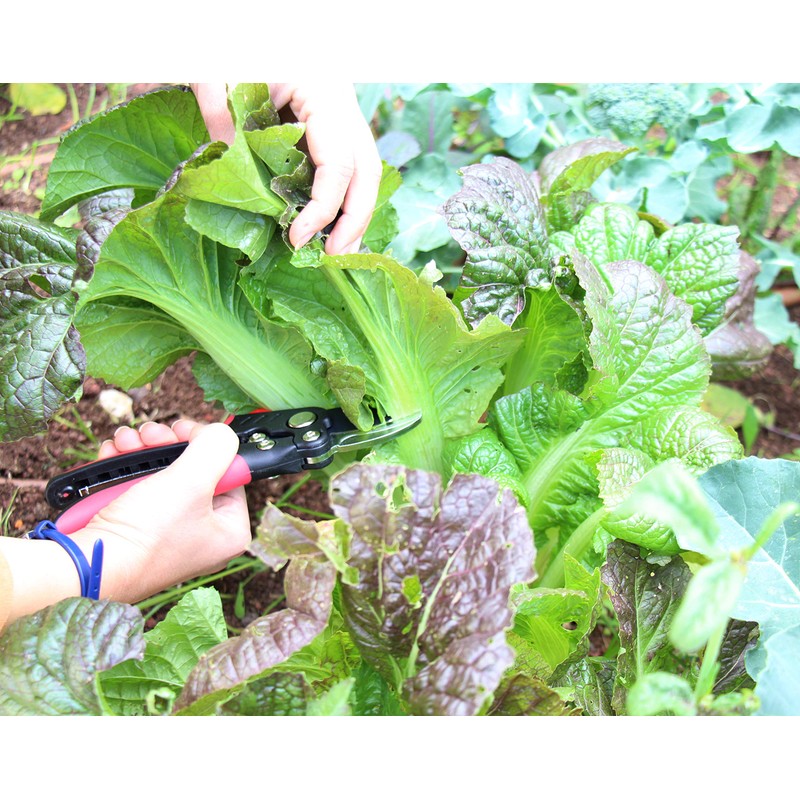 TABOR TOOLS S851A Bypass Hand Pruner with Compound Action, Makes