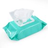 Wags & Wiggles Cleanse Hypoallergenic Wipes 100Ct | Hypoallergenic Dog